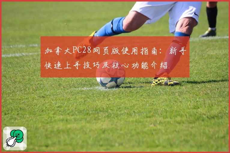 加拿大PC28网页版使用指南：新手快速上手技巧及核心功能介绍