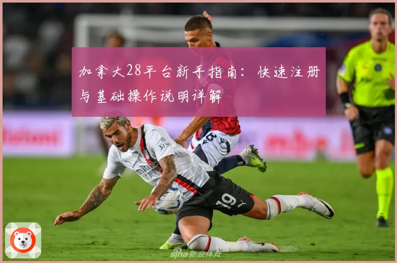 加拿大28平台新手指南：快速注册与基础操作说明详解