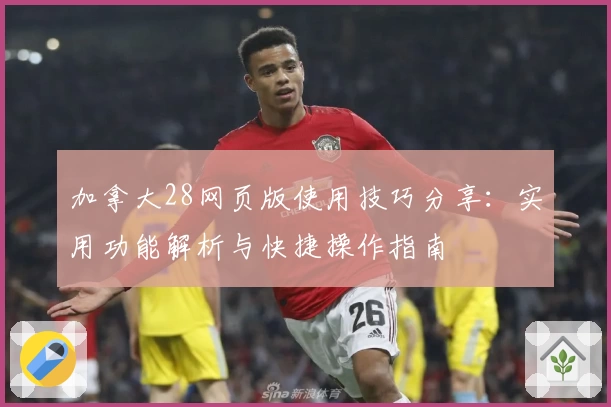 加拿大28网页版使用技巧分享：实用功能解析与快捷操作指南