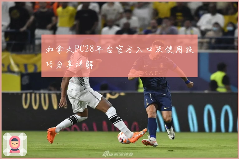 加拿大PC28平台官方入口及使用技巧分享详解