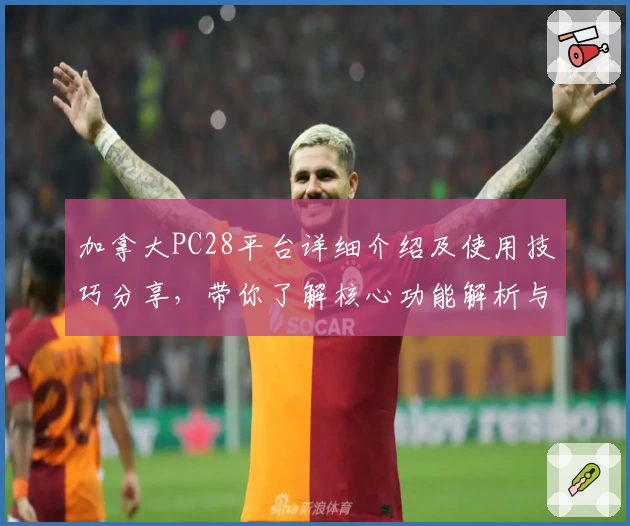 加拿大PC28平台详细介绍及使用技巧分享，带你了解核心功能解析与操作体验