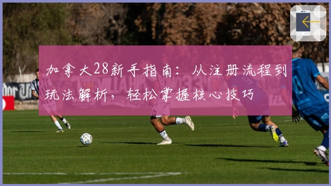 加拿大28新手指南：从注册流程到玩法解析，轻松掌握核心技巧