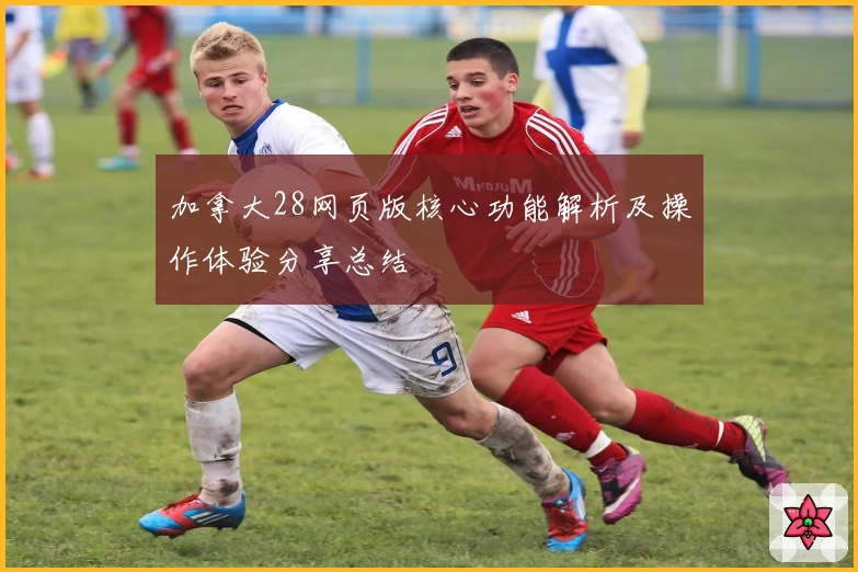 加拿大28网页版核心功能解析及操作体验分享总结