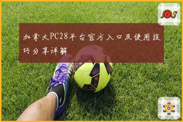 加拿大PC28平台官方入口及使用技巧分享详解
