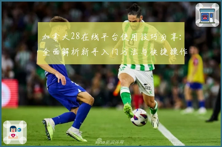 加拿大28在线平台使用技巧分享：全面解析新手入门方法与快捷操作指导