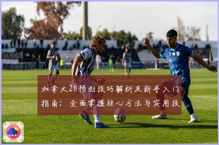 加拿大28预测技巧解析及新手入门指南：全面掌握核心方法与实用技巧