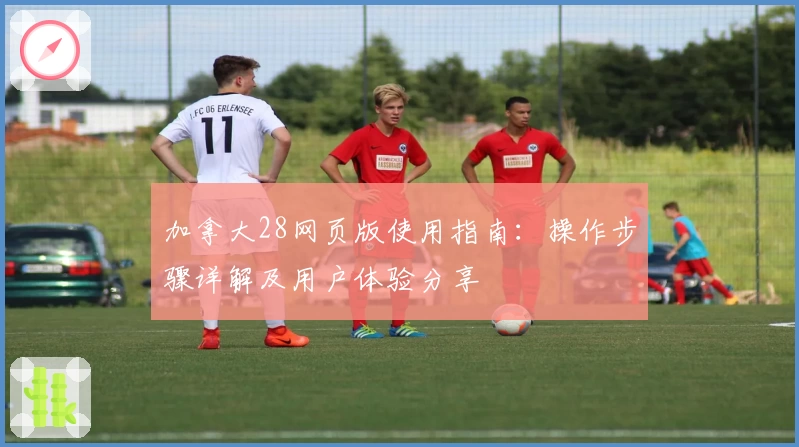 加拿大28网页版使用指南：操作步骤详解及用户体验分享