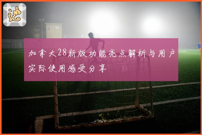 加拿大28新版功能亮点解析与用户实际使用感受分享